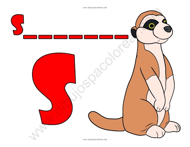 Suricata letra S abecedario dibujo a color y para colorear